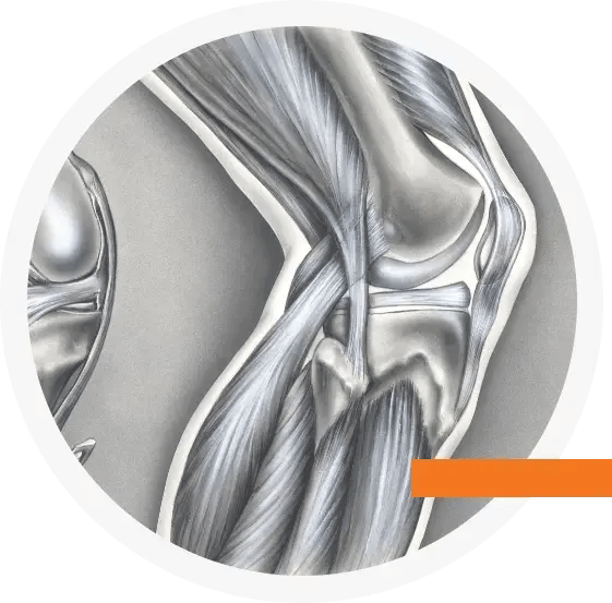 What Will You Learn_