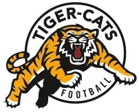 tiger cats tiger cats