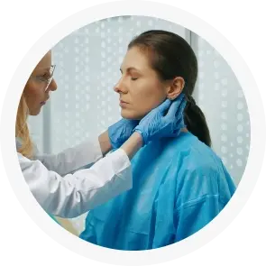 Circle_5_Motor_Vehicle_Accidents