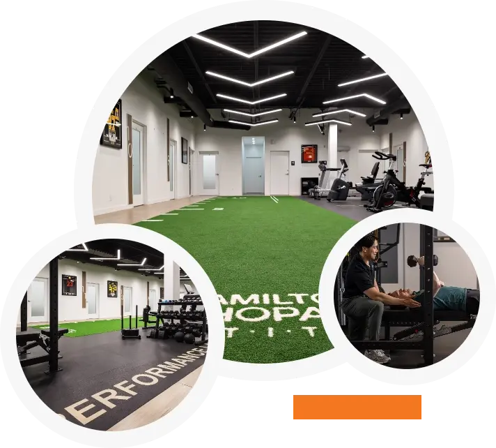 hamilton locations Bottom image